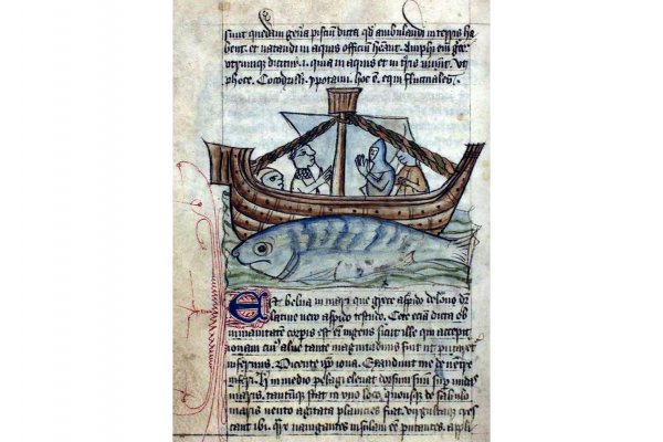 Kraken 26at