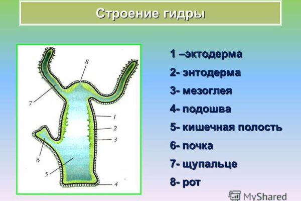 Кракен ссылка vk2 top